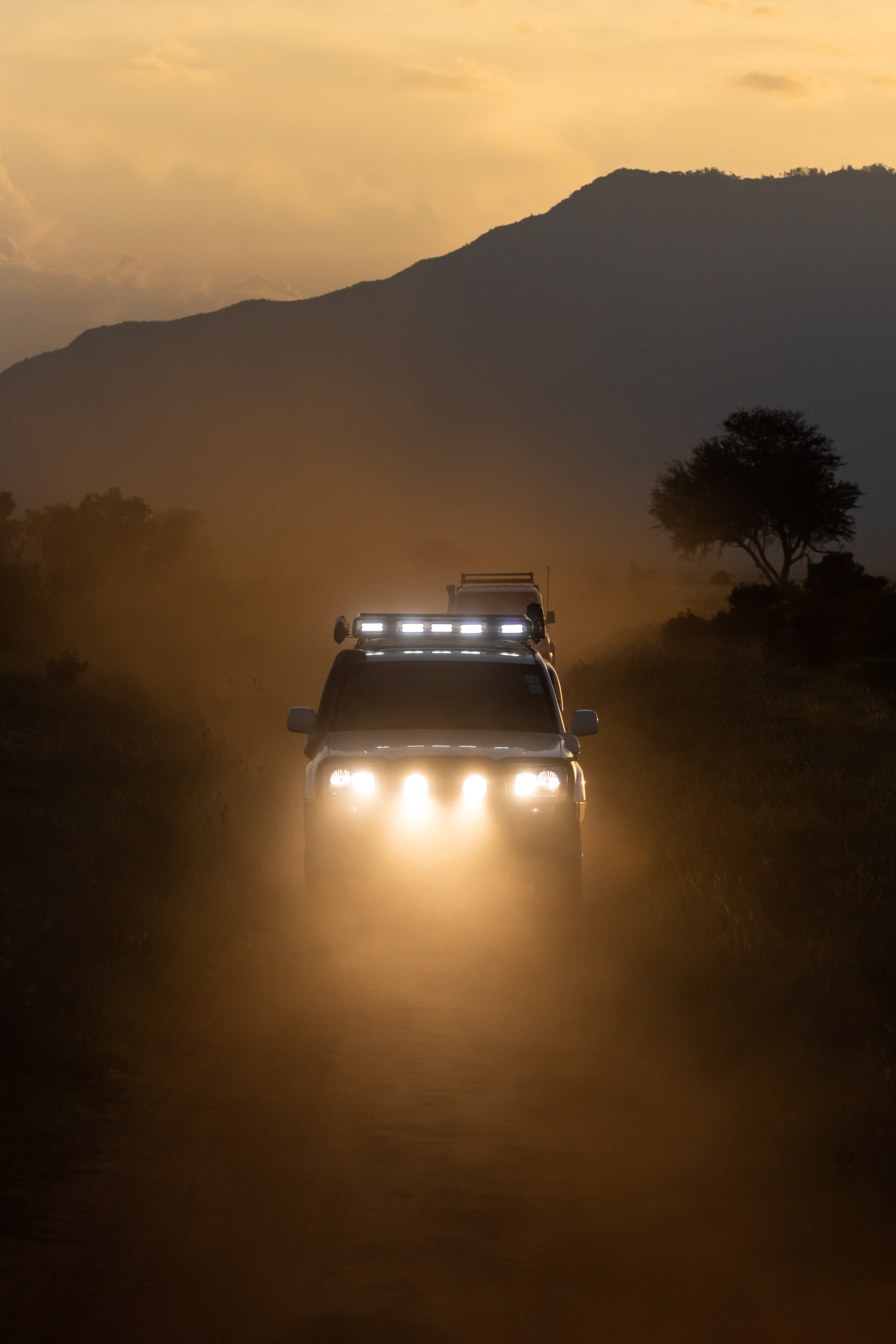 Safari vehicles driving through golden dust at dusk